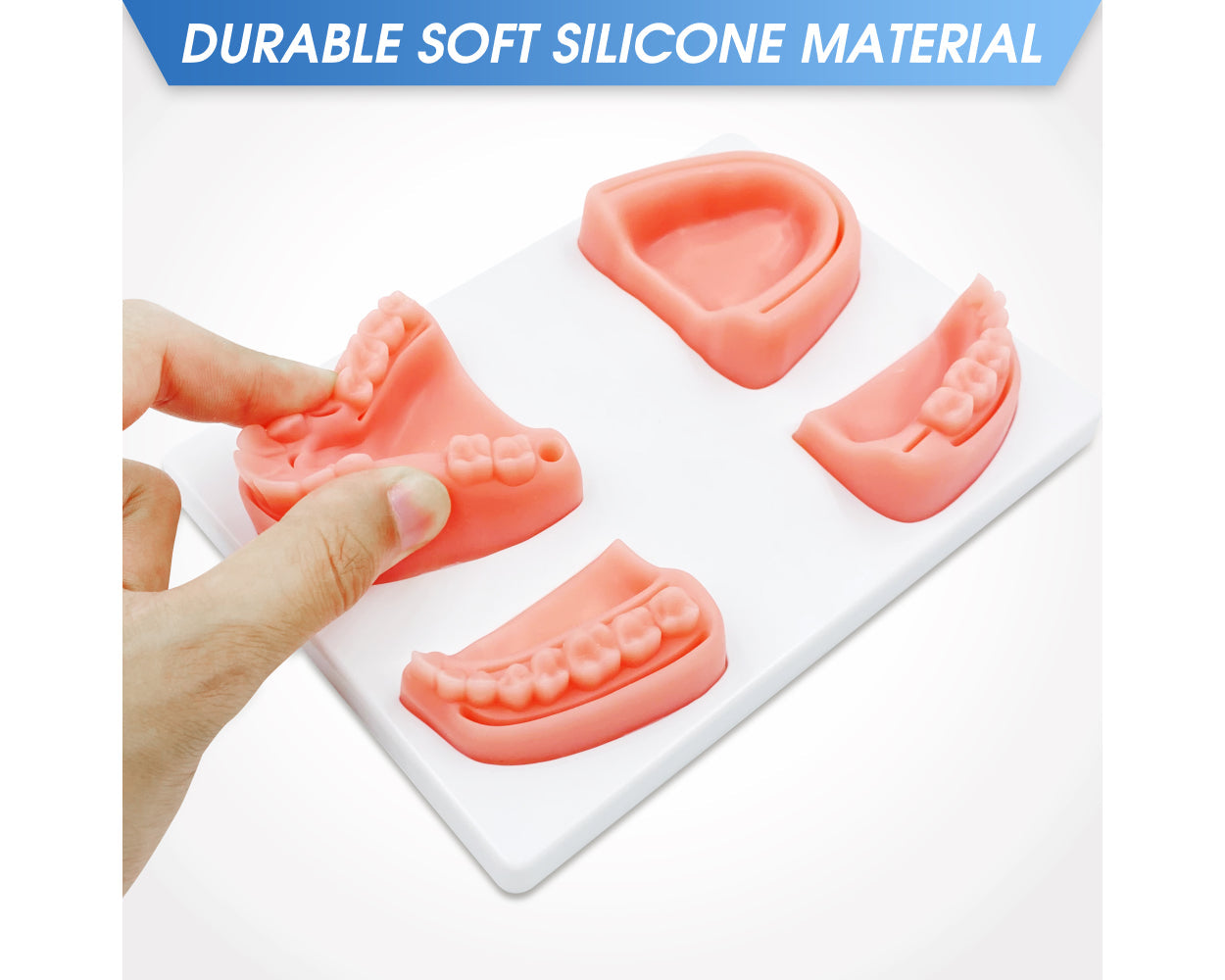 3KB EduMed Dentistry Practice Suture Kit - Dental Student Training - For Educational Use Only