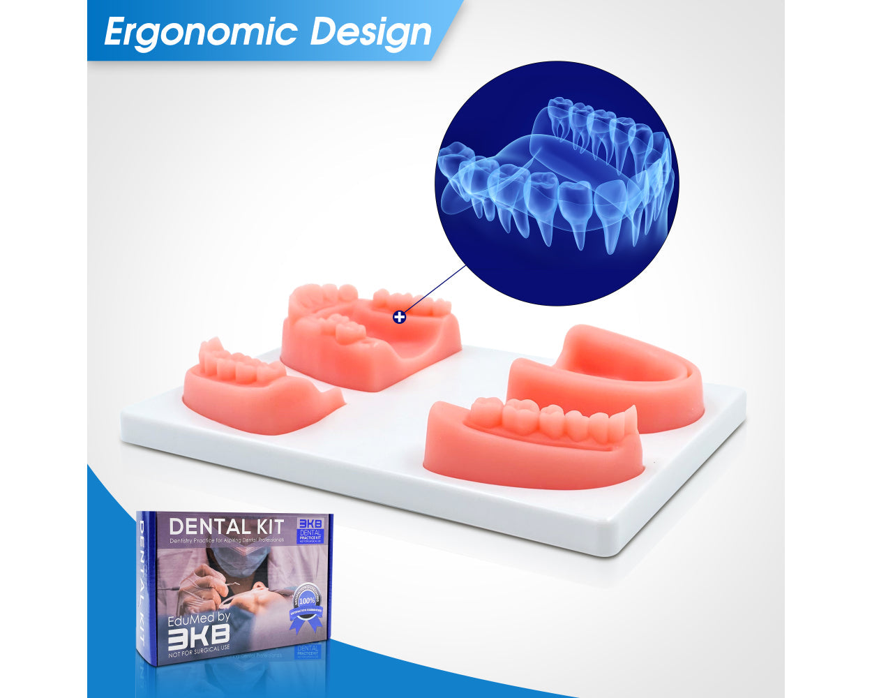 3KB EduMed Dentistry Practice Suture Kit - Dental Student Training - For Educational Use Only