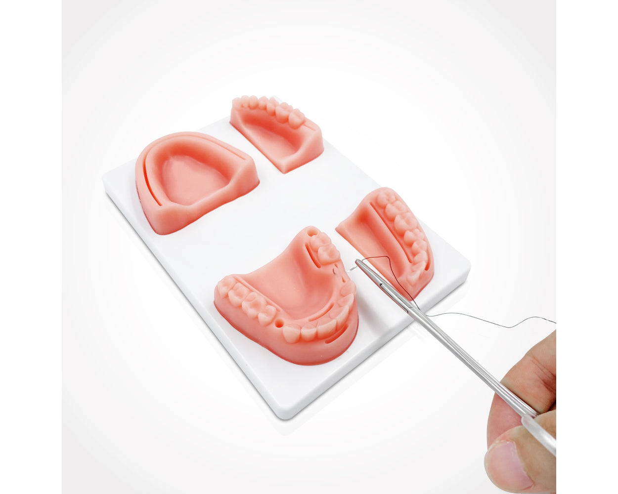 3KB EduMed Dentistry Practice Suture Kit - Dental Student Training - For Educational Use Only