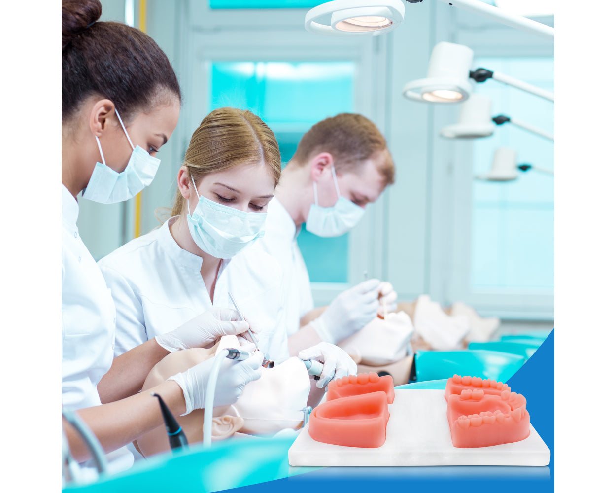 3KB EduMed Dentistry Practice Suture Kit - Dental Student Training - For Educational Use Only